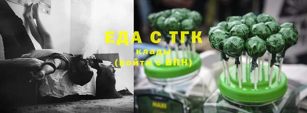 гашик Арсеньев