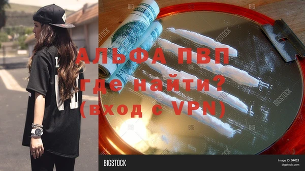 гашик Арсеньев