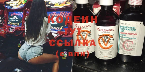 гашик Арсеньев