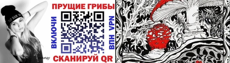 Псилоцибиновые грибы Magic Shrooms  где найти   Междуреченск 