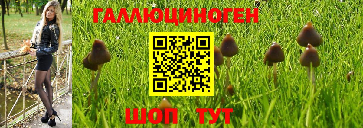 Псилоцибиновые грибы Magic Shrooms  Вход с VPN  Междуреченск 